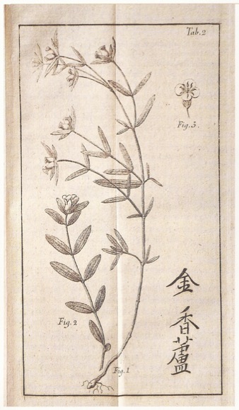 OSBECK, PEHR: - Dagbok fwer en ostindisk resa ren 1750, 1751, 1752. Med anmrkningar uti naturkunnigheten, frmmande folkslags sprk, seder, hushllning, m.m. AND: TORN, OLOF: En ostindisk resa til Suratte, China &c. Frn 1750 April 1. til 1752 Jun. 26. Stockholm, Lor. Ludv. Grefing, 1757.