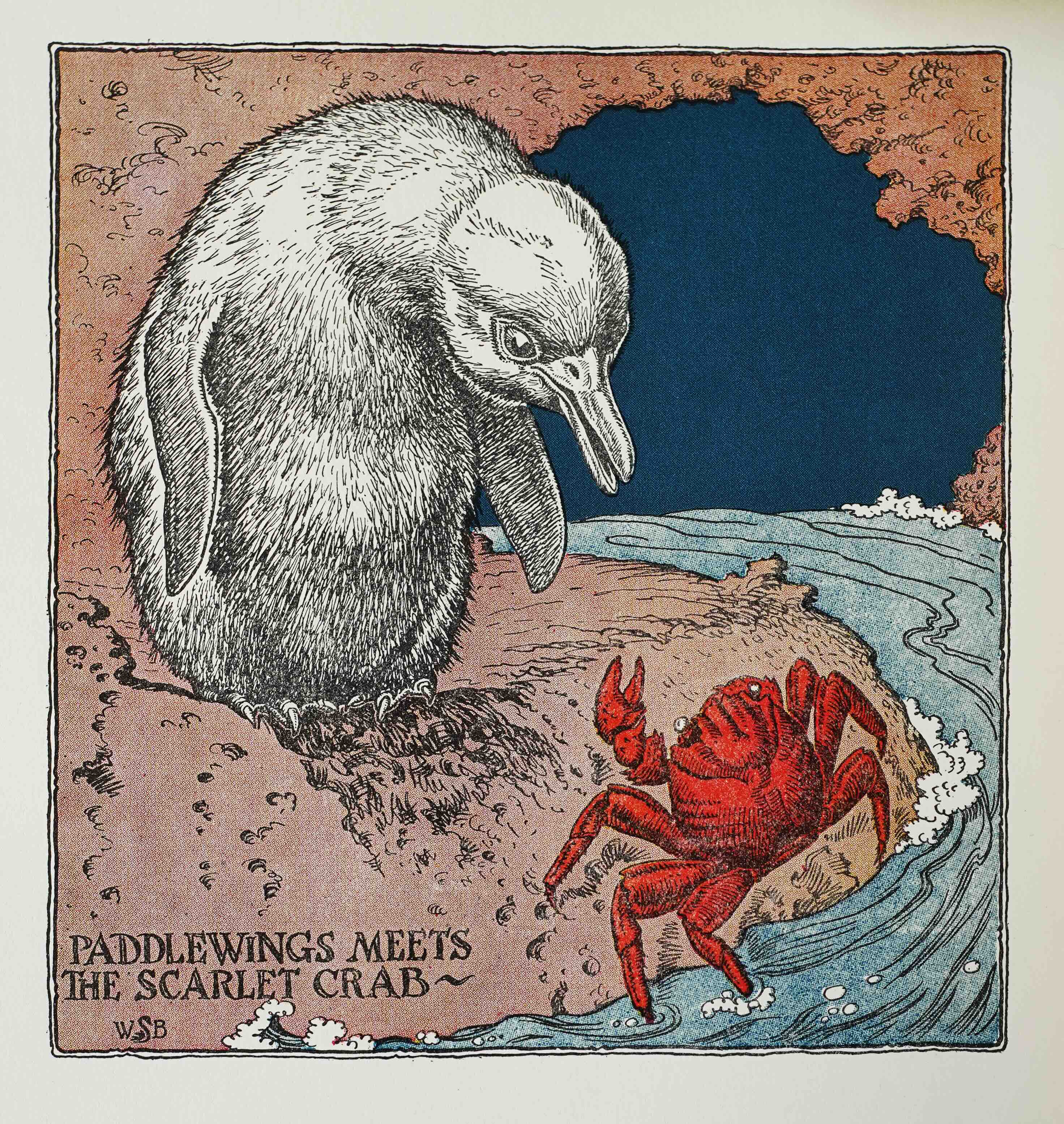 BRONSON, WILFRID S.: -  Paddlewings. The Penguin of Galpagos. pictures by the Author. New York, Macmillan, (1937).